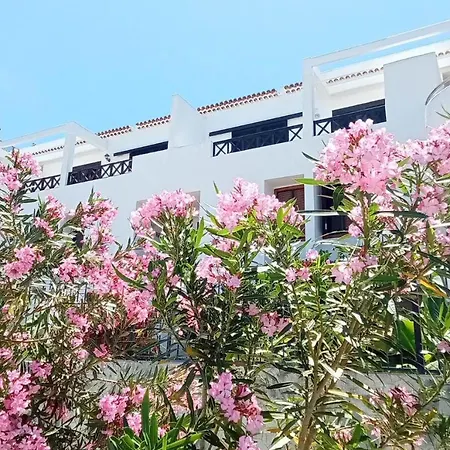 Under The Lime, Beautiful Cristianos Daire